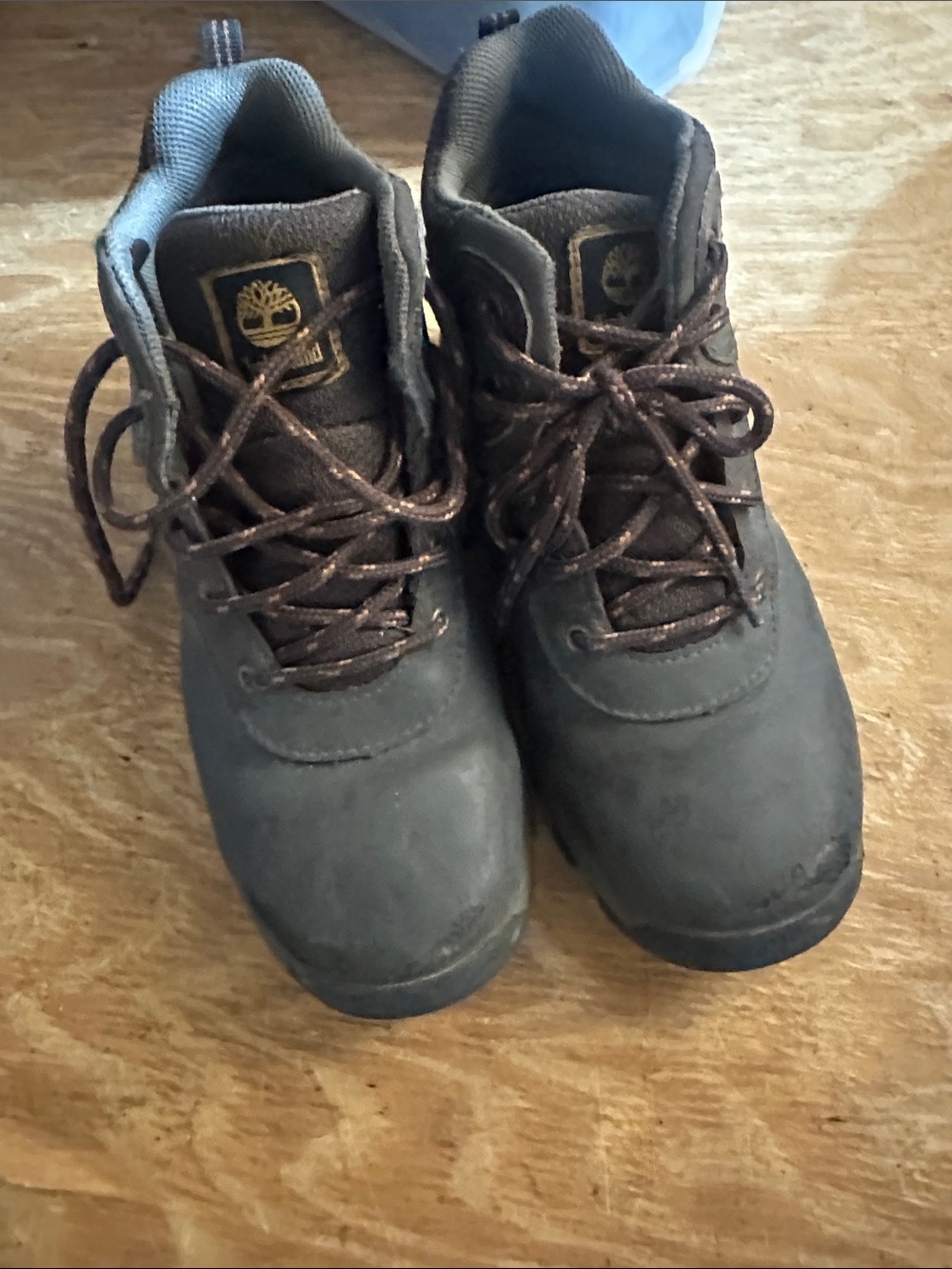 Timberland Kids Brown Lace-Up Hiking Boots